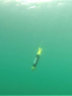 ecoSUBµ5 - 500 m rated Micro-AUV